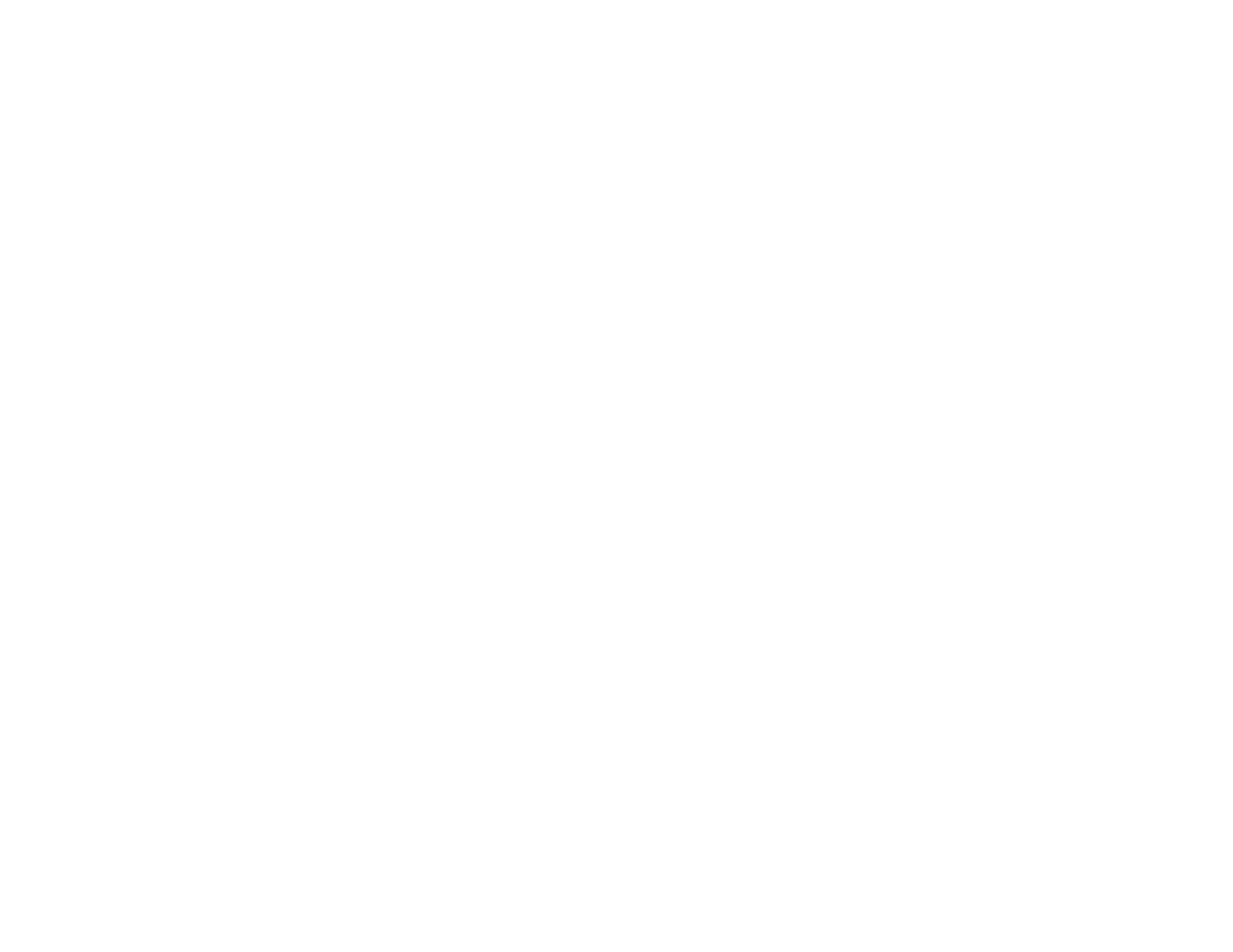 Dartmouth Brain Imaging Center