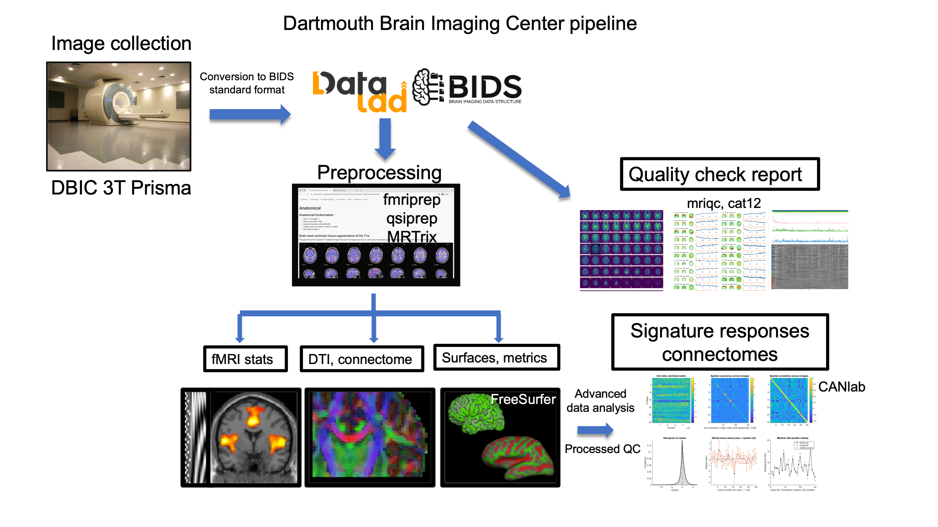 Open neuroscience data and pipelines